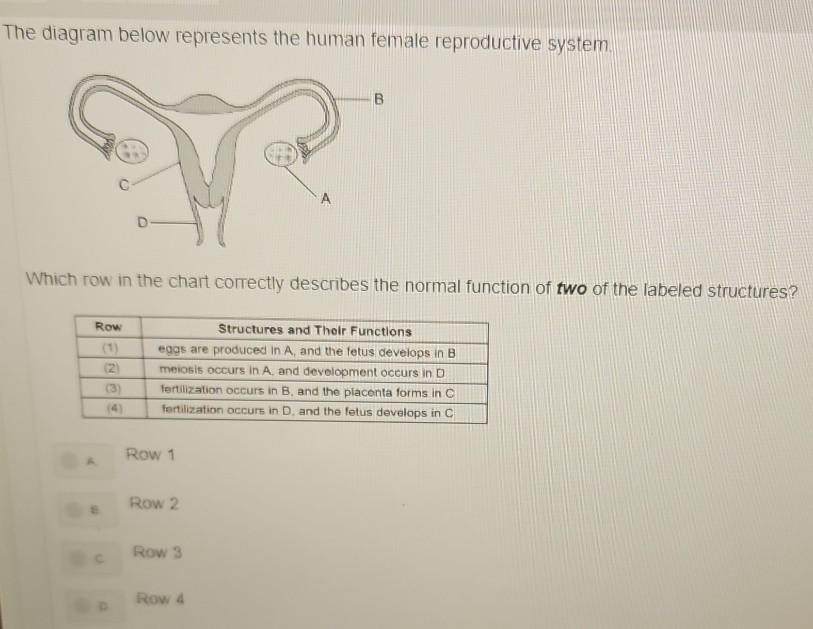 The diagram below represents the human female reproductive system.
Which row in the chart correctly describes the normal function of two of the labeled structures?
A. Row 1
8 Row 2
C Row 3
D. Row 4