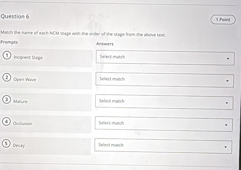 Match the name of each NCM stage with the order of the stage from the above text. 
Prompts Answers 
1 Incipient Stage 
Select match 
2 Open Wave Select match 
3 Mature Select match 
4 Occlusion Select match 
5) Decay 
Select match