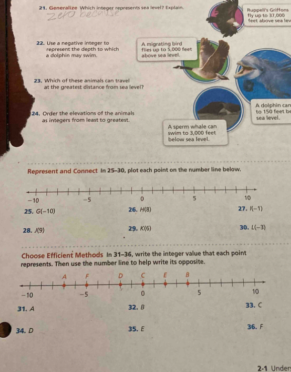 Generalize Which integer represents sea level? Explain. Ruppell's ...