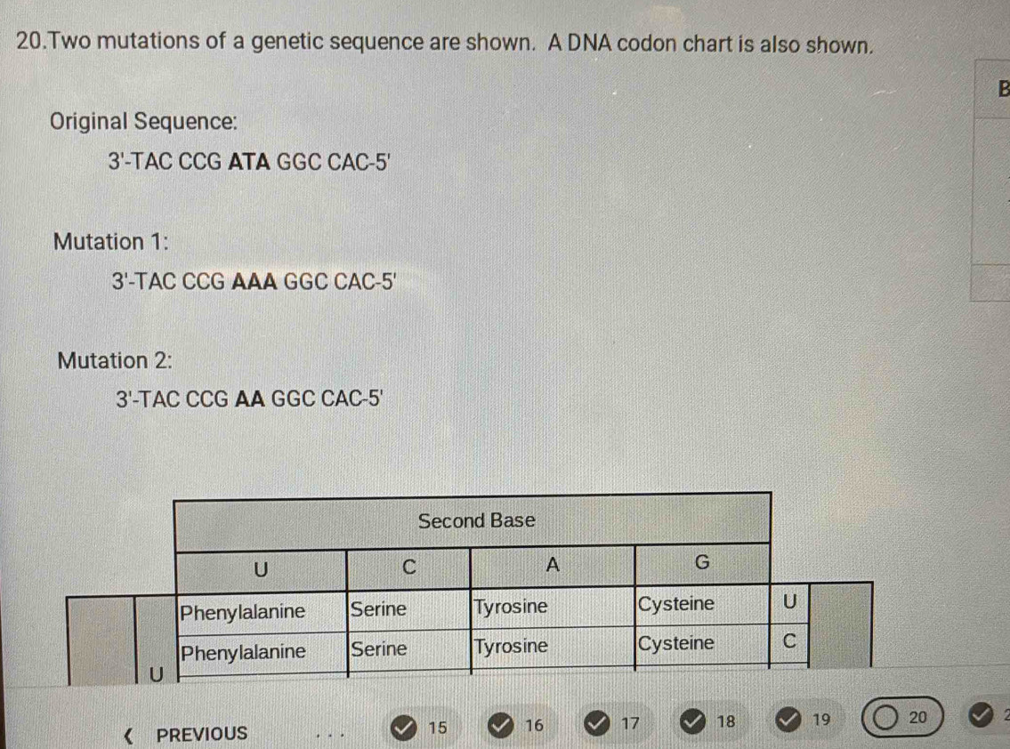 Solved: Two mutations of a genetic sequence are shown. A DNA codon ...
