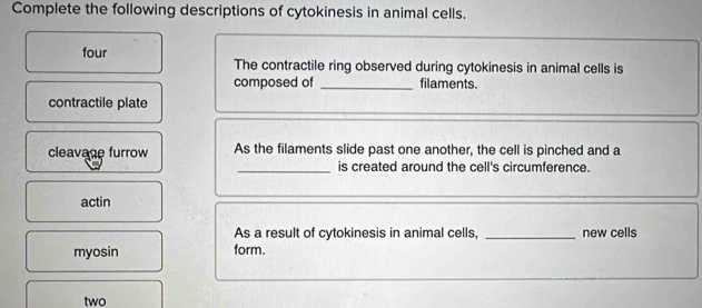 Complete the following descriptions of cytokinesis in animal cells. 
four The contractile ring observed during cytokinesis in animal cells is 
composed of _filaments. 
contractile plate 
cleavage furrow As the filaments slide past one another, the cell is pinched and a 
_is created around the cell's circumference. 
actin 
As a result of cytokinesis in animal cells, _new cells 
myosin form. 
two