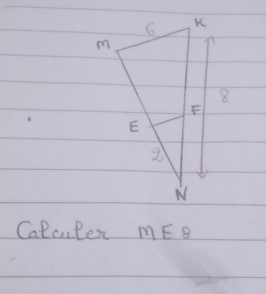 Calculex mE8