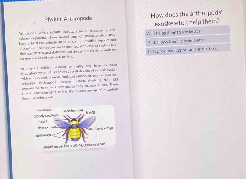 Phylum Arthropoda How does the arthropods'
exoskeleton help them?
Arthropods, which include insects, spiders, crustaceans, and
related organisms, share several common characteristics. They A. It helps them to see better
have a hard exoskeleton made of chitin, providing support and
protection. Their bodies are segmented, with distinct regions like B. It allows them to swim better.
the head, thorax, and abdomen, and they possess joint appendages
for movement and various functions. C. It provides support and protection.
Arthropods exhibit bilateral symmetry and have an open
circulatory system. They possess a well-developed nervous system
with a brain, ventral nerve cord, and sensory organs like eyes and
antennae. Arthropods undergo molting, shedding their old
exoskeleton to grow a new one as they increase in size. These
shared characteristics defne the diverse group of organisms
known as arthropods.