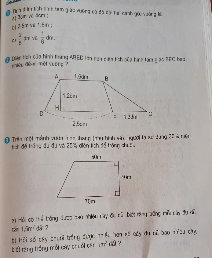 Tính diện tích hình tam giác vuông có độ dài hai cạnh góc vuông là :
a) 3cm và 4cm;
b) 2, 5m và 1, 6m;
c)  2/5  dm và  1/6 dm. 
D Diện tích của hình thang ABED lớn hơn diện tích của hình tam giác BEC bao
nhiêu đề-xi-mét vuông ?
Ở Trên một mảnh vườn hình thang (như hình vẽ), người ta sử dụng 30% diện
tích để trồng đu đủ và 25% diện tích để trồng chuối.
a) Hỏi có thể trồng được bao nhiêu cây đu đủ, biết rằng trồng mỗi cây đu đủ
can1, 5m^2 dất ?
b) Hỏi số cây chuối trồng được nhiều hơn số cây đu đủ bao nhiêu cây,
biết rằng trồng mỗi cây chuối cần 1m^2 đất ?