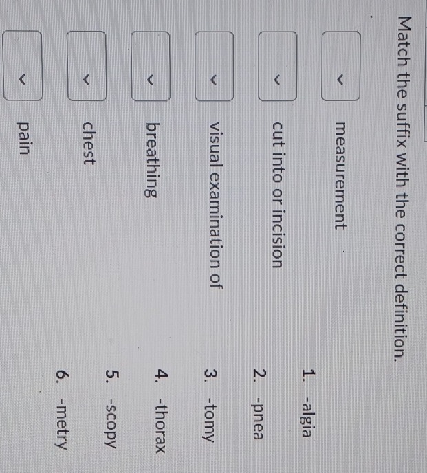 Match the suffix with the correct definition.
measurement
1. -algia
cut into or incision
2. -pnea
visual examination of 3. -tomy
breathing
4. -thorax
5.-scopy
chest
6. -metry
pain