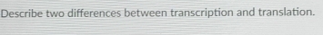 Describe two differences between transcription and translation.