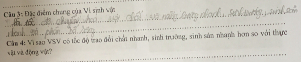 Đặc điểm chung của Vi sinh vật 
_ 
Câu 4: Vì sao VSV có tốc độ trao đổi chất nhanh, sinh trưởng, sinh sản nhanh hơn so với thực 
vật và động vật?_