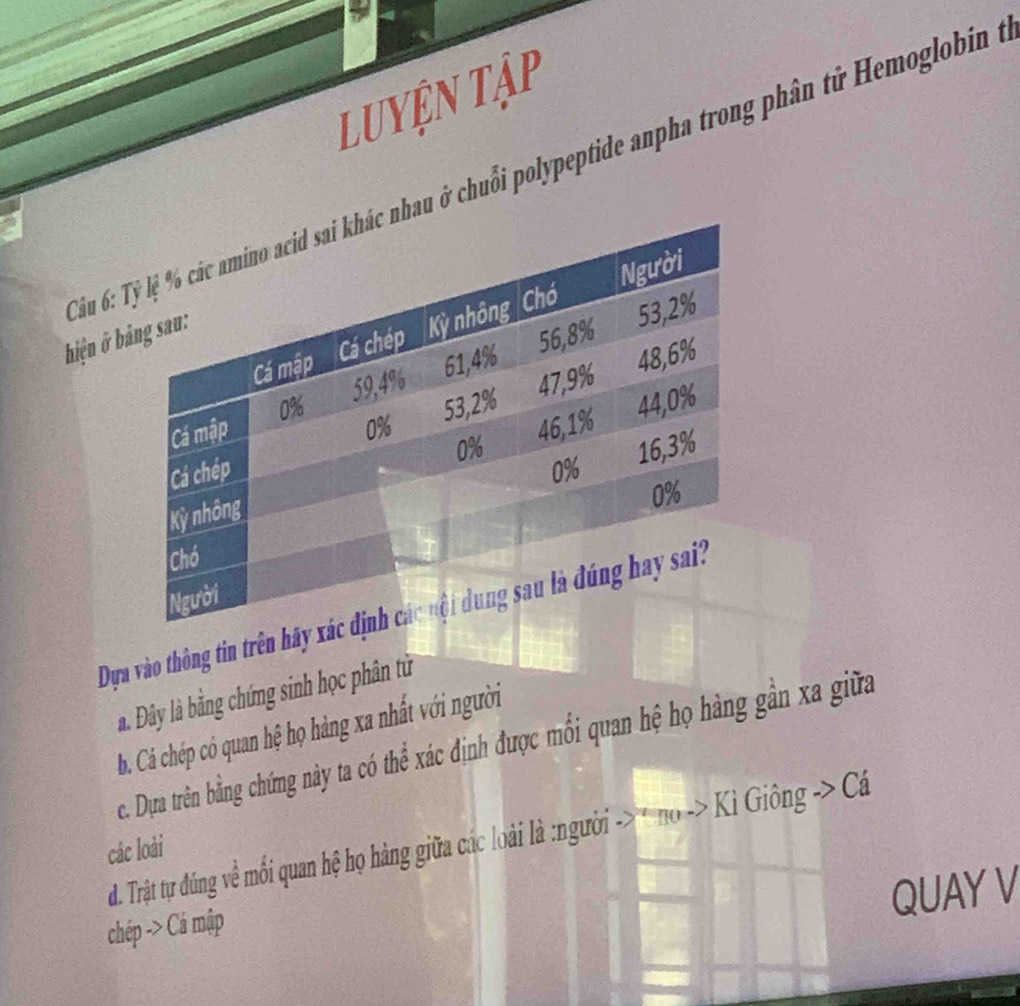 Luyện Tập
* ầun 6u ở chuồi polypeptide anpha trong phân tử Hemoglobin 
hiện ở 
Dựa vào thông tin trên hãy
à. Đây là bằng chứng sinh học phân tử
b. Cá chép có quan hệ họ hàng xa nhất với người
c. Dựua trên bằng chứng này ta có thể xác định được mối quan hệ họ hàng gần xa giữa
d. Trật tự đdúng về mối quan hệ họ hàng giữa các loài là :người -> *no -> Ki Giông -> Cá
các loài
QUAY V
chép -> Cá mập