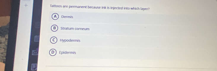 Tattoos are permanent because ink is injected into which layer?
A Dermis
B  Stratum corneum
C Hypodermis
D Epidermis