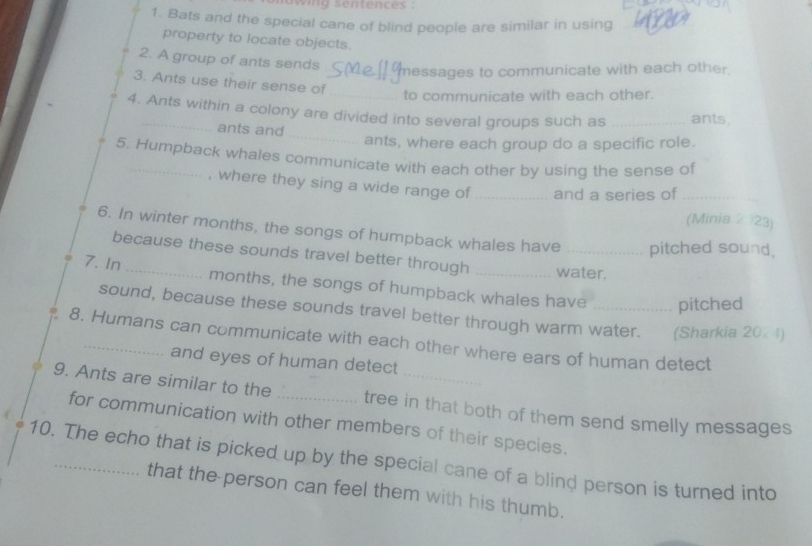 wing sentences . 
1. Bats and the special cane of blind people are similar in using 
property to locate objects. 
2. A group of ants sends 
_messages to communicate with each other . 
3. Ants use their sense of 
_to communicate with each other. 
_ 
4. Ants within a colony are divided into several groups such as _ants, 
ants and 
ants, where each group do a specific role. 
5. Humpback whales communicate with each other by using the sense of 
, where they sing a wide range of _and a series of_ 
(Minia 2 123) 
6. In winter months, the songs of humpback whales have _pitched sound, 
because these sounds travel better through water. 
7. In _months, the songs of humpback whales have_ 
pitched 
sound, because these sounds travel better through warm water. (Sharkia 20 4) 
8. Humans can communicate with each other where ears of human detect 
and eyes of human detect 
9. Ants are similar to the _tree in that both of them send smelly messages 
for communication with other members of their species. 
10. The echo that is picked up by the special cane of a blind person is turned into 
that the-person can feel them with his thumb.