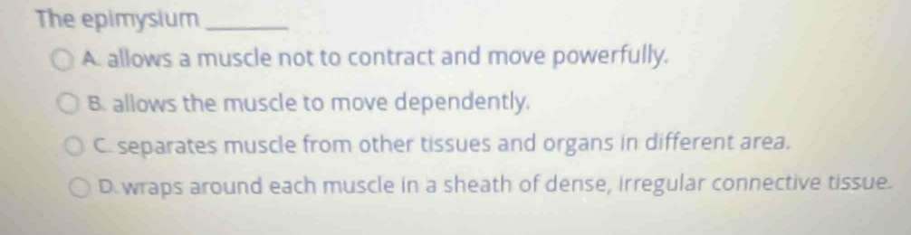 The epimysium_
A. allows a muscle not to contract and move powerfully.
B. allows the muscle to move dependently.
C. separates muscle from other tissues and organs in different area.
D. wraps around each muscle in a sheath of dense, irregular connective tissue.