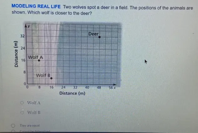Solved: MODELING REAL LIFE Two wolves spot a deer in a field. The ...