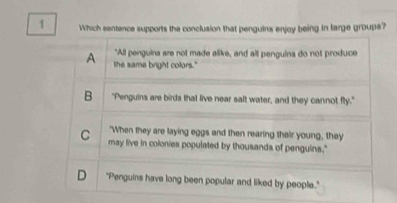 Which sentence supports the conclusion that penguins enjoy being in large groups?
"All penguins are not made alike, and all penguins do not produce
A the same bright colors."
B "Penguins are birds that live near salt water, and they cannot fly."
"When they are laying eggs and then rearing their young, they
C may live in colonies populated by thousands of penguins."
D "Penguins have long been popular and liked by people."