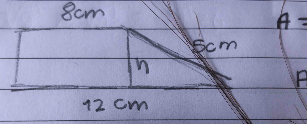 8cm
A=
scm
n 
A
12 cm