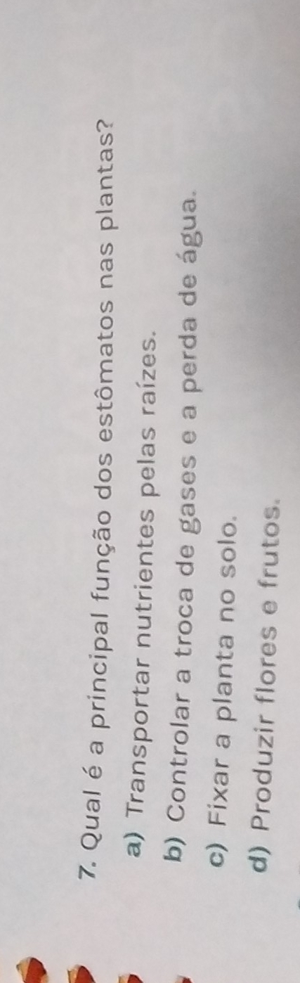 Qual é a principal função dos estômatos nas plantas?
a) Transportar nutrientes pelas raízes.
b) Controlar a troca de gases e a perda de água.
c) Fixar a planta no solo.
d) Produzir flores e frutos.