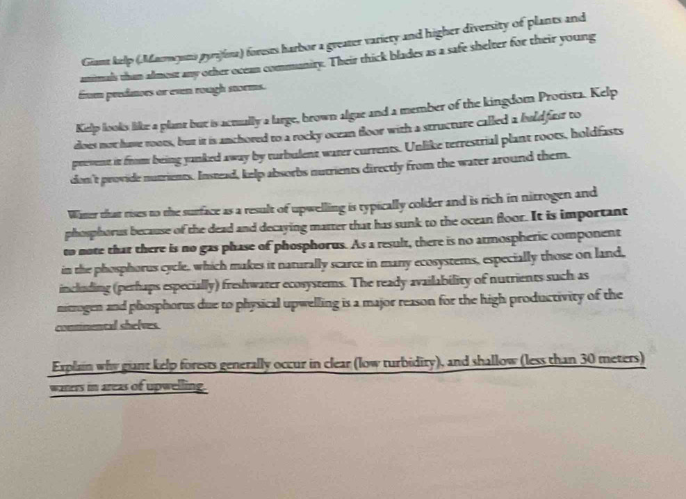 Giant kelp (Mamouto pyrajima) forests harbor a greater variety and higher diversity of plants and 
amimals than almost any other ocean commanity. Their thick blades as a safe shelter for their young 
from predators or even rough storms. 
Kelp looks like a plant but is actually a large, brown algae and a member of the kingdom Protista. Kelp 
does not have roots, but it is anchored to a rocky ocean floor with a structure called a buldfirst to 
prevent it from being yanked away by turbulent water currents. Unlike terrestrial plant roots, holdfasts 
don't provide nutrients. Instead, kelp absorbs nutrients directly from the water around them. 
Witer that rises to the surface as a result of upwelling is typically colder and is rich in nitrogen and 
phosphorus because of the dead and decaying matter that has sunk to the ocean floor. It is important 
to note that there is no gas phase of phosphorus. As a result, there is no atmospheric component 
in the phosphorus cycle, which makes it naturally scarce in many ecosystems, especially those on land, 
including (perhaps especially) freshwater ecosystems. The ready availability of nutrients such as 
nitrogen and phosphorus due to physical upwelling is a major reason for the high productivity of the 
conninental shelves. 
Explain why giant kelp forests generally occur in clear (low turbidity), and shallow (less than 30 meters) 
waners in areas of upwelling.