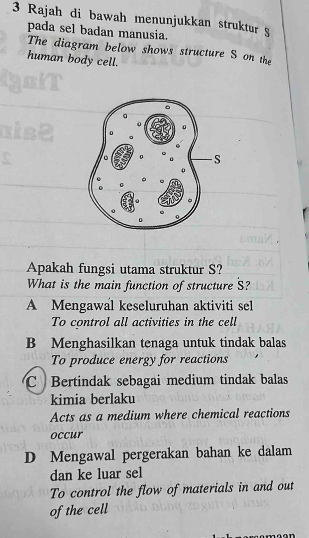 Rajah di bawah menunjukkan struktur S
pada sel badan manusia.
The diagram below shows structure S on the
human body cell.
Apakah fungsi utama struktur S?
What is the main function of structure S?
A Mengawal keseluruhan aktiviti sel
To control all activities in the cell
B Menghasilkan tenaga untuk tindak balas
To produce energy for reactions
C Bertindak sebagai medium tindak balas
kimia berlaku
Acts as a medium where chemical reactions
occur
D Mengawal pergerakan bahan ke dalam
dan ke luar sel
To control the flow of materials in and out
of the cell