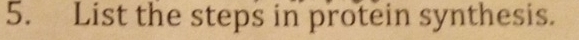 List the steps in protein synthesis.