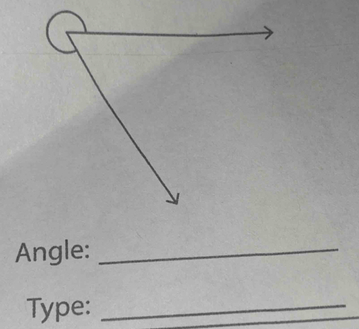 Angle:_ 
Type:_