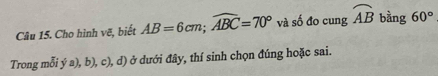 Cho hình vẽ, biết AB=6cm; widehat ABC=70° và số đo cung widehat AB bàng 60°
Trong mỗi ý a), b), c), d) ở dưới đây, thí sinh chọn đúng hoặc sai.