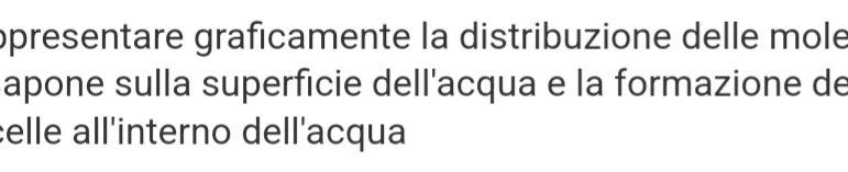 opresentare graficamente la distribuzione delle mole 
apone sulla superficie dell'acqua e la formazione de 
celle all'interno dell'acqua