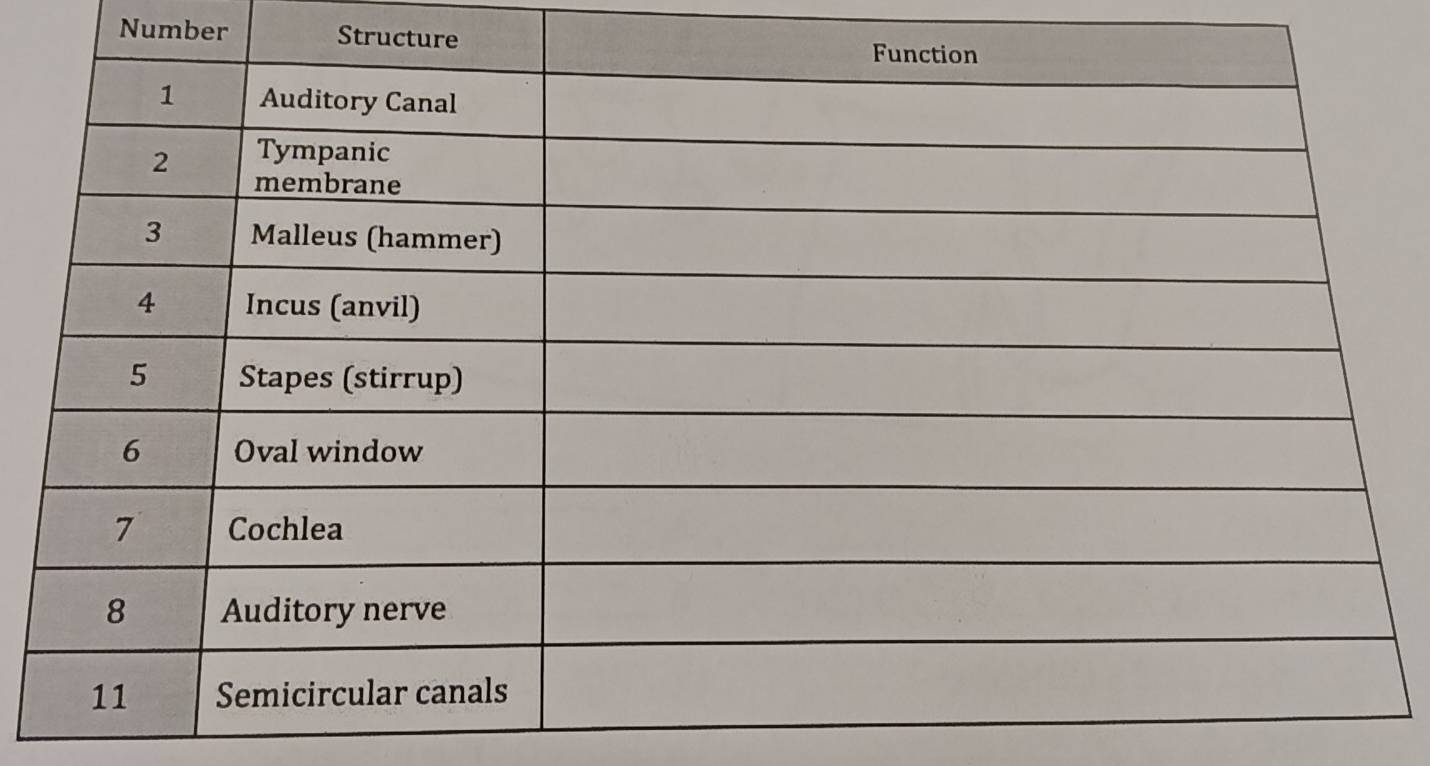 Number Structure