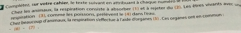 Complétez, sur votre cahier, le texte suivant en attribuant à chaque numéro le I 
Chez les animaux, la respiration consiste à absorber (1) et à rejeter du (2). Les êtres vivants avec un 
respiration (3), comme les poissons, prélèvent le (4) dans l'eau. 
Chez beaucoup d'animaux, la respiration s'effectue à l'aide d'organes (5) . Ces organes ont en commun :
(6)-(7