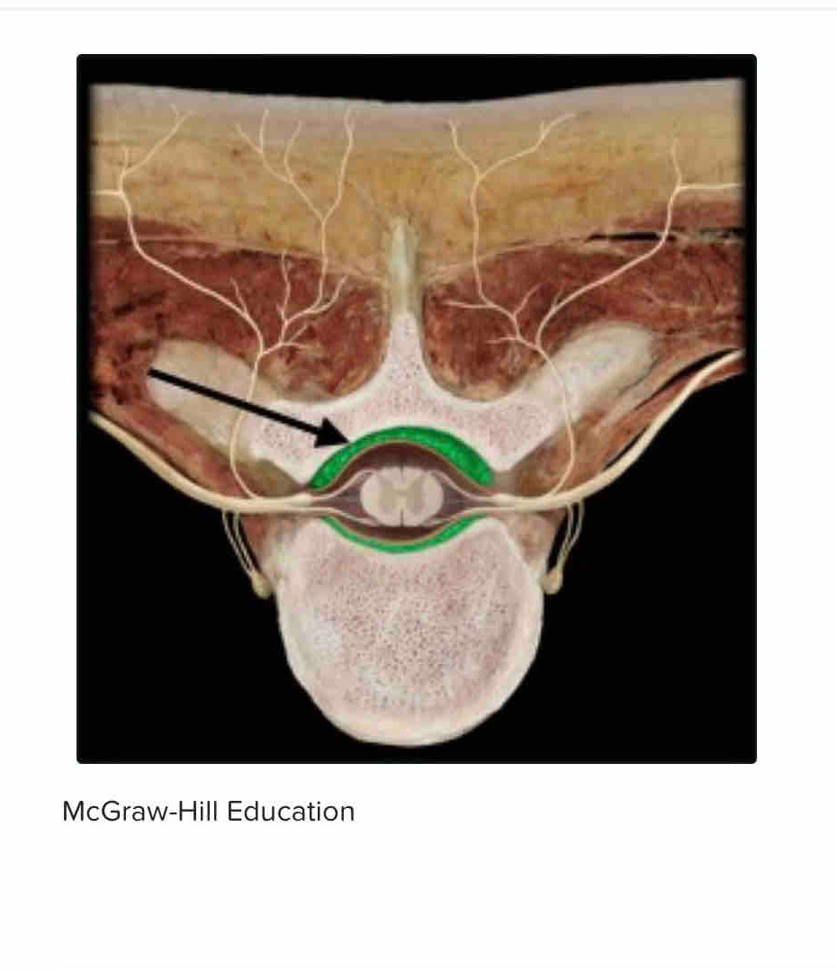 McGraw-Hill Education