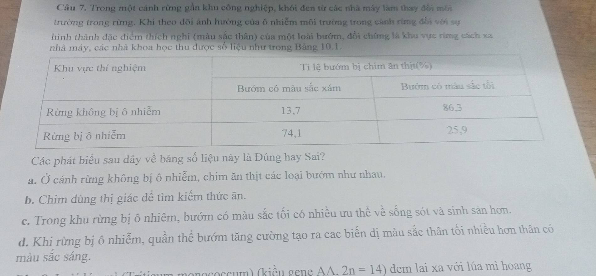 Trong một cánh rừng gần khu công nghiệp, khói đen từ các nhà máy làm thay đổi môi
trường trong rừng. Khi theo dõi ảnh hưởng của ô nhiễm môi trường trong cảnh rừng đổi với sự
hình thành dặc diểm thích nghi (màu sắc thân) của một loài bướm, đối chứng là khu vực rừng cách xa
nhà máy, các nhà khoa học thu được số liệu như trong Bảng 10.1.
Các phát biểu sau đây về bảng số liệu này là Đúng hay Sai?
a. Ở cánh rừng không bị ô nhiễm, chim ăn thịt các loại bướm như nhau.
b. Chim dùng thị giác để tìm kiếm thức ăn.
c. Trong khu rừng bị ô nhiêm, bướm có màu sắc tối có nhiều ưu thể về sống sót và sinh sản hơn.
d. Khi rừng bị ô nhiễm, quần thể bướm tăng cường tạo ra cac biến dị màu sắc thân tối nhiều hơn thân có
màu sắc sáng.
o cc m (kiều gene A. 2n=14) dem lai xa với lúa mì hoang