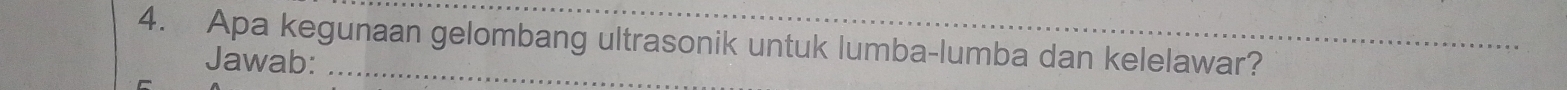 Apa kegunaan gelombang ultrasonik untuk lumba-lumba dan kelelawar? 
Jawab: