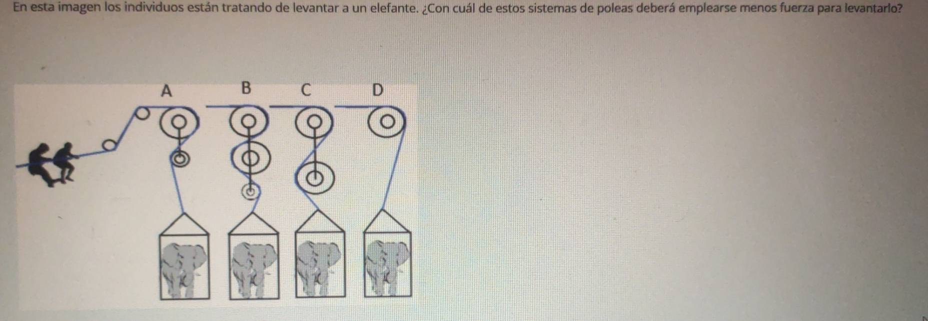 En esta imagen los individuos están tratando de levantar a un elefante. ¿Con cuál de estos sistemas de poleas deberá emplearse menos fuerza para levantarlo?