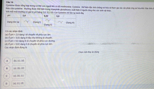 Cysteine được tổng hợp trong cơ thể con người khi có đủ methionine. Cysteine thể hiện đặc tính chống cxỉ hóa và tham gia vào các phản ứng ơxi hóa khử. Đặc tính cí
hóa của cysteine thường được thể hiện trong tripeptide glutathione, xuất hiện ở người cũng như các sinh vật khác.
Với mỗi môi trường có giá trị pH bằng 2, 0; 5, 2; 9, 0. Coi Cysteine chỉ tồn tại dưới y
Có các nhận định:
(a)Ở pH=2,0dang I di chuyển về phía cực âm
(b) C pH=5.02 dạng III hầu như không di chuyến
(c) Ở pH = 9.0 dạng III di chuyến về phía cực dương
(d J pH=5.02 đạng II di chuyến về phía cực ám. ; : 
Các nhận định đúng lI
Chọn một đáp án đúng
A (b),(c),(d)
B (a),(b),(d)
C (a),(b),(c)
D (a),(c),(d)