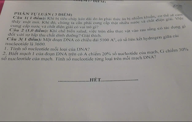 phân tự luận ( 3 điêm) 
Câu 1( 1 điểm): Khi bị tiêu chảy kéo dài do ăn phải thức ăn bị nhiễm khuận, cơ thể sẽ cảm 
thấy mệt mỏi. Khi đó, chúng ta cần phải cung cấp thật nhiều nước và chất điện giải. Việc 
cung cấp nước và chất điện giải có vai trò gì? 
Câu 2 (1,0 điểm): Khi chế biển salad, việc trộn dầu thực vật vào rau sống có tác dụng gì 
đối với sự hấp thu chất dinh dưỡng? Giải thích. 
Câu 3( 1 điểm): Một đoạn DNA có chiều dài 5100A^0 , có số liên kết hydrogen giữa các 
nucleotide là 3600. 
1. Tính số nuclcotide mỗi loại của DNA? 
2. Biết mạch 1 của đoạn DNA trên có A chiếm 20% số nucleotide của mạch, G chiếm 30%
số nucleotide của mạch. Tính số nucleotide từng loại trên mỗi mạch DNA? 
h É T.