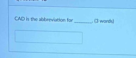 CAD is the abbreviation for _. (3 words)