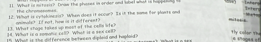 whar hap 
11. What is mitosis? Draw the phases in order and label what is happening to 
lase) Inte 
the chromosomes. 
Interp 
12. What is cytokinesis? When does it occur? Is it the same for plants and 
Metap 
animals? If not, how is it different? 
mitosis 
13. What stage takes up most of the cells life? 
14. What is a somatic cell? What is a sex cell? tly color the 
15. What is the difference between diploid and haploid? 
e stages of