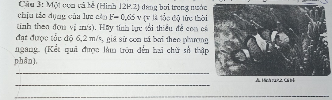 Một con cá hề (Hình 12P.2) đang bơi trong nước 
chịu tác dụng của lực cản F=0,65v (v là tốc độ tức thời 
tính theo đơn vị m/s). Hãy tính lực tối thiều đề con cá 
đạt được tốc độ 6,2 m/s, giả sử con cá bơi theo phương 
ngang. (Kết quả được làm tròn đến hai chữ số thập 
phân). 
_ 
_ 
_