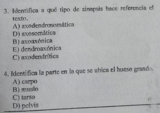 Identifica a qué tipo de sinapsis hace referencia el
texto.
A) axodendrosomática
D) axosomática
B) axoaxónica
E) dendroaxónica
C) axodendrítica
4. Identifica la parte en la que se ubica el hueso grando.
A) carpo
B) muslo
C) tarso
D) pelvis