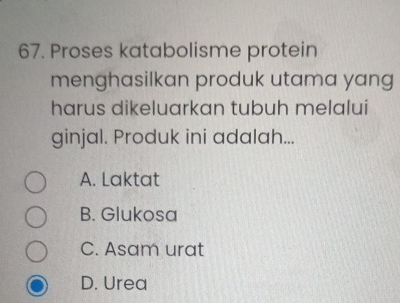 Proses katabolisme protein
menghasilkan produk utama yang
harus dikeluarkan tubuh melalui
ginjal. Produk ini adalah...
A. Laktat
B. Glukosa
C. Asam urat
D. Urea