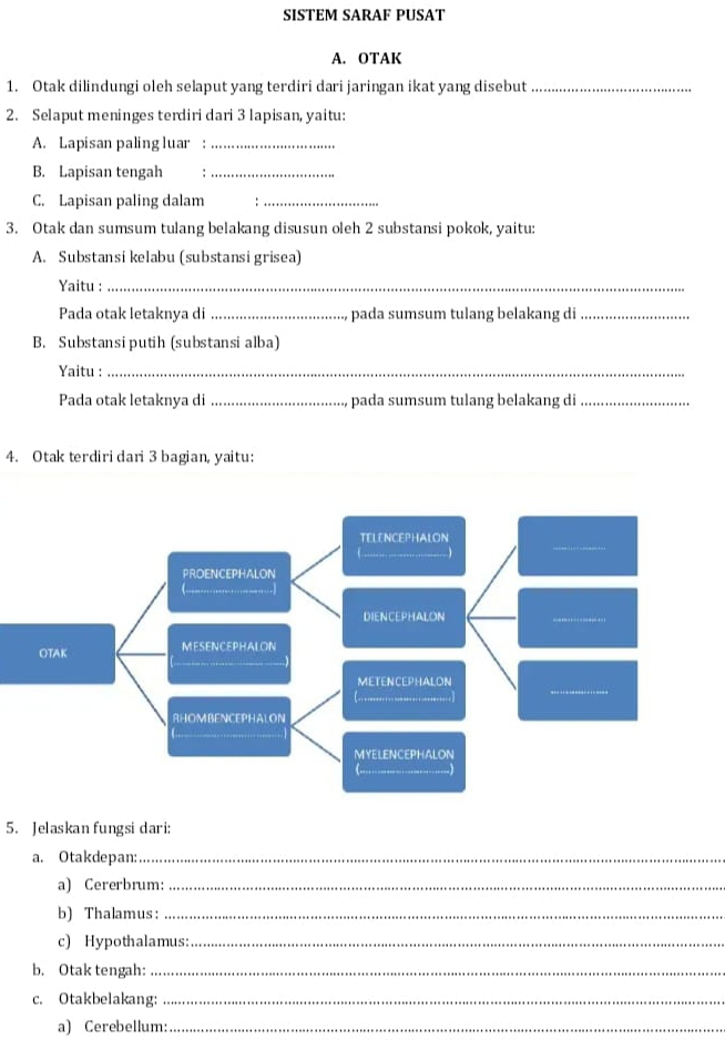 SISTEM SARAF PUSAT 
A. OTAK 
1. Otak dilindungi oleh selaput yang terdiri dari jaringan ikat yang disebut_ 
2. Selaput meninges terdiri dari 3 lapisan, yaitu: 
A. Lapisan paling luar :_ 
B. Lapisan tengah :_ 
C. Lapisan paling dalam :_ 
3. Otak dan sumsum tulang belakang disusun oleh 2 substansi pokok, yaitu: 
A. Substansi kelabu (substansi grisea) 
Yaitu :_ 
Pada otak letaknya di _pada sumsum tulang belakang di_ 
B. Substansi putih (substansi alba) 
Yaitu :_ 
Pada otak letaknya di _pada sumsum tulang belakang di_ 
4. Otak terdiri dari 3 bagian, yaitu: 
5. Jelaskan fungsi dari: 
a. Otakdepan:_ 
a) Cererbrum:_ 
b) Thalamus:_ 
c) Hypothalamus:_ 
b. Otak tengah:_ 
c. Otakbelakang:_ 
a) Cerebellum:_