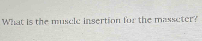 What is the muscle insertion for the masseter?