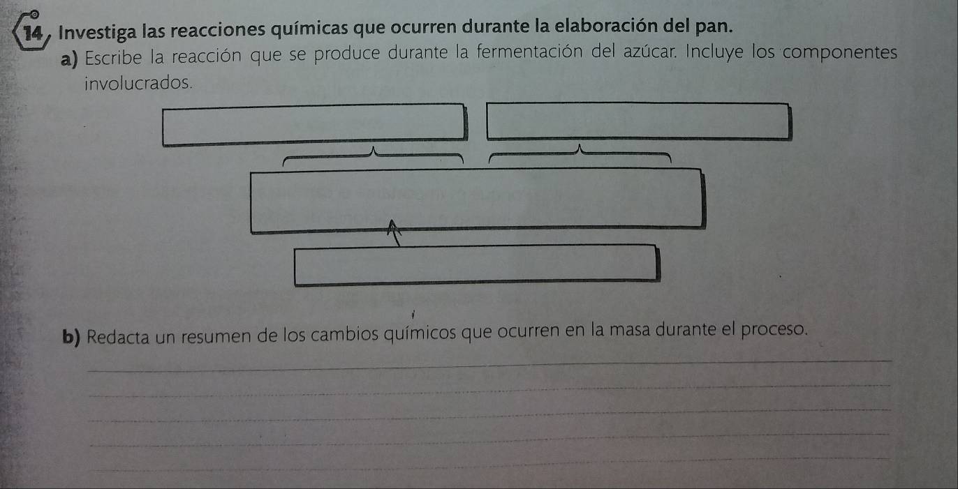 Investiga las reacciones químicas que ocurren durante la elaboración del pan. 
a) Escribe la reacción que se produce durante la fermentación del azúcar. Incluye los componentes 
involucrados. 
b) Redacta un resumen de los cambios químicos que ocurren en la masa durante el proceso. 
_ 
_ 
_ 
_ 
_