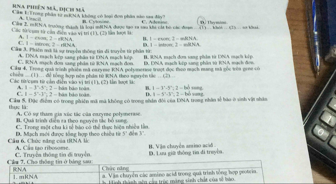 rna phiên mã, dịch mã
Câu 1:Trong phân tử mRNA không có loại đơn phân nào sau đây?
A. Uracil.
B. Cytosine. C. Adenine. D. Thymine.
Câu 2. mRNA trưởng thành là loại mRNA được tạo ra sau khi cất bỏ các đoạn ..(1)... khỏi .(2)... sơ khai,
Các từ/cụm từ cần điễn vào vị trí (1), (2) lần lượt là:
A. 1 - exon; 2 - rRNA. B. 1 - exon; 2 - mRNA.
C. 1 - intron; 2 - rRNA. D. 1 - intron; 2 - mRNA.
Câu 3. Phiên mã là sự truyền thông tin di truyền từ phân tử:
A. DNA mạch kép sang phân tử DNA mạch kép. B. RNA mạch đơn sang phân tử DNA mạch kép.
C. RNA mạch đơn sang phân tử RNA mạch đơn. D. DNA mạch kép sang phân tử RNA mạch đơn.
Câu 4. Trong quá trình phiên mã enzyme RNA polymerase trượt dọc theo mạch mang mã gốc trên gene có
chiều …(1). để tổng hợp nên phân tử RNA theo nguyên tắc …(2).
Các từ/cụm từ cần điền vào vị trí (1), (2) lần lượt là:
A. 1-3^,-5; 2  bán bào toàn.
B. 1-3^(-5';) 2 - bổ sung.
C. 1-5'-3' 2  bán bảo toàn. D. 1-5'-3'; 2 - bổ sung.
Câu 5. Đặc điểm có trong phiên mã mà không có trong nhân đôi của DNA trong nhân tế bào ở sinh vật nhân
thực là:
A. Có sự tham gia xúc tác của enzyme polymerase.
B. Quá trình diễn ra theo nguyên tắc bổ sung.
C. Trong một chu kì tế bào có thể thực hiện nhiều lần.
D. Mạch mới được tổng hợp theo chiều từ 5^ đến 3'. 0
Câu 6. Chức năng của tRNA là:
A. Cầu tạo ribosome. B. Vận chuyển amino acid .
C. Truyền thông tin di truyền. D. Lưu giữ thông tin di truyền.