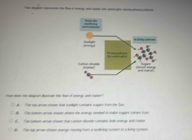 Thie diagiam represers the flow of energy and matter into autotrophs during photosynthesis
tew doen the dagran lustse this fow of energy and rater?
A The rap i ew shoms toi surte conans sugies trom the Sun.
E. The banom anow shows woere the enery nested to mikke sugus cames han
C Taheman aoom tome the calen bade comane tot eoegy and mate
D The tag an ow toows enerry making from a codiving systen to a living syalem.