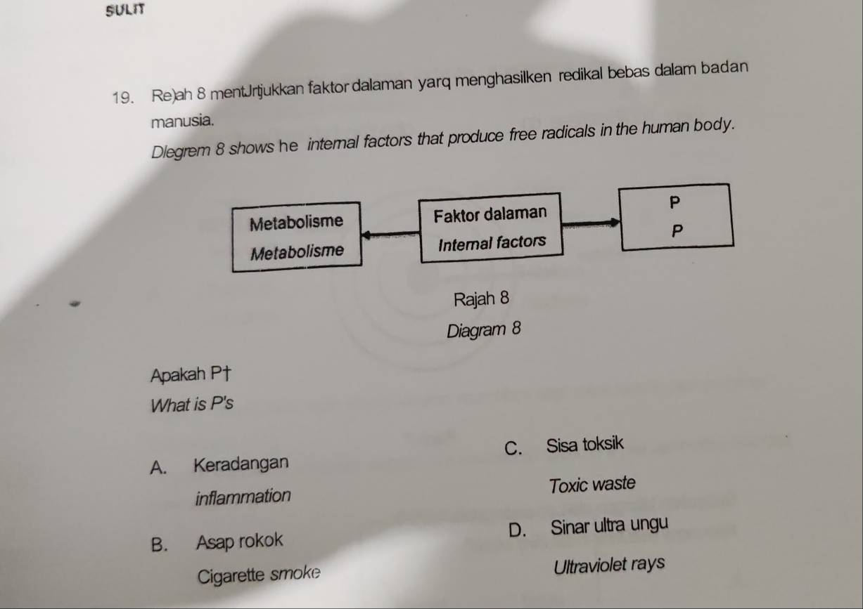 SULIT
19. Re)ah 8 mentJrtjukkan faktor dalaman yarq menghasilken redikal bebas dalam badan
manusia.
Diegrem 8 shows he internal factors that produce free radicals in the human body.
P
Metabolisme Faktor dalaman
P
Metabolisme Internal factors
Rajah 8
Diagram 8
Apakah P†
What is P's
A. Keradangan C. Sisa toksik
inflammation Toxic waste
B. Asap rokok D. Sinar ultra ungu
Cigarette smoke Ultraviolet rays