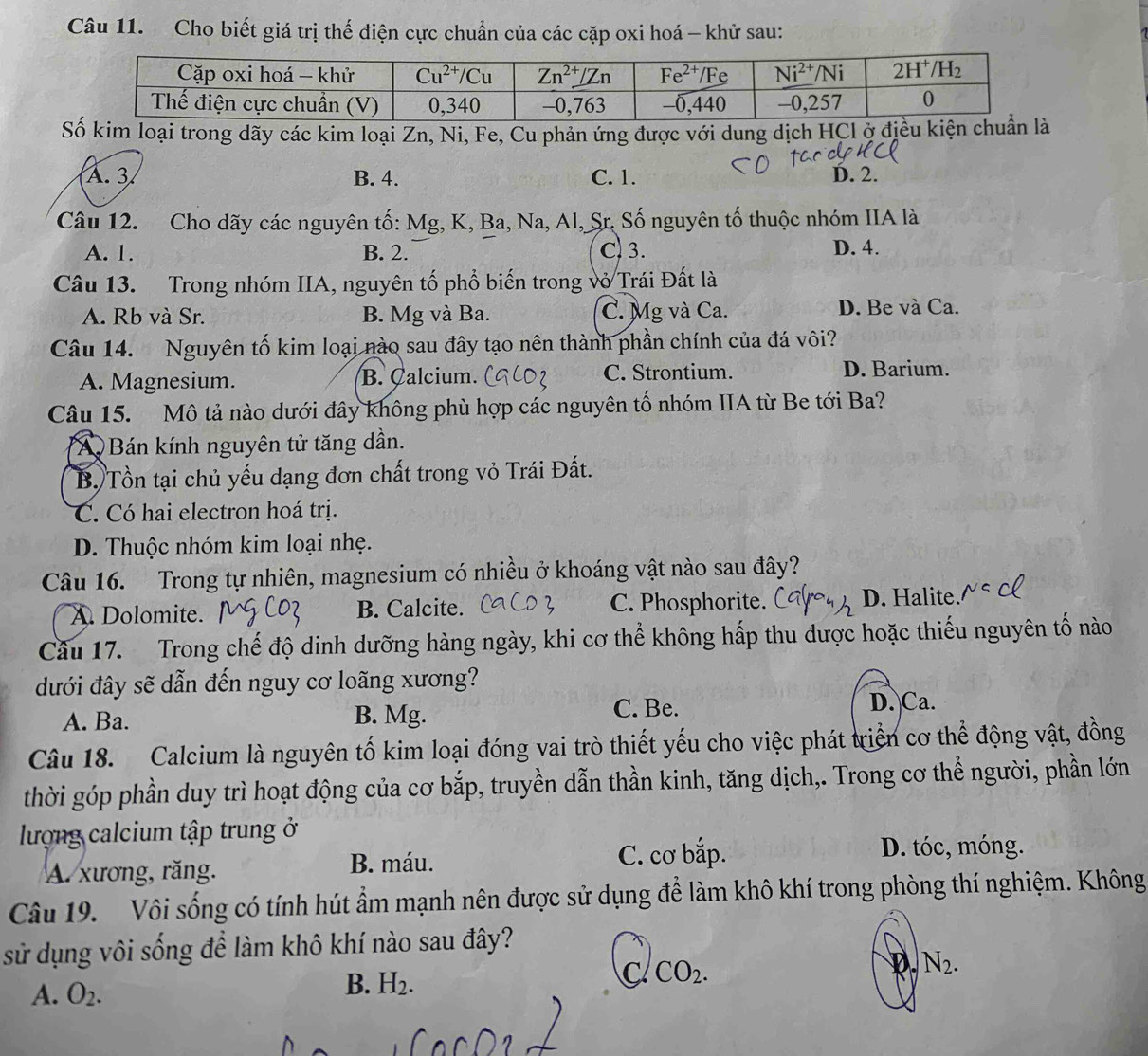 Cho biết giá trị thế điện cực chuẩn của các cặp oxi hoá - khử sau:
Số kim loại trong dãy các kim loại Zn, Ni, Fe, Cu phản ứng được với dung dịch HCl ở điều kiện chuẩn là
A. 3 B. 4. C. 1. D. 2.
Câu 12. Cho dãy các nguyên tố: Mg, K, Ba, Na, Al, Sr. Số nguyên tố thuộc nhóm IIA là
A. 1. B. 2. Cl 3. D. 4.
Câu 13. Trong nhóm IIA, nguyên tố phổ biến trong vỏ Trái Đất là
A. Rb và Sr. B. Mg và Ba. C. Mg và Ca. D. Be và Ca.
Câu 14. Nguyên tố kim loại nào sau đây tạo nên thành phần chính của đá vôi?
A. Magnesium. B. Çalcium. C. Strontium. D. Barium.
Câu 15. Mô tả nào dưới đây không phù hợp các nguyên tố nhóm IIA từ Be tới Ba?
A Bán kính nguyên tử tăng dần.
B. Tồn tại chủ yếu dạng đơn chất trong vỏ Trái Đất.
C. Có hai electron hoá trị.
D. Thuộc nhóm kim loại nhẹ.
Câu 16. Trong tự nhiên, magnesium có nhiều ở khoáng vật nào sau đây?
A Dolomite. B. Calcite. C. Phosphorite. D. Halite.
Cầu 17. Trong chế độ dinh dưỡng hàng ngày, khi cơ thể không hấp thu được hoặc thiếu nguyên tố nào
đưới đây sẽ dẫn đến nguy cơ loãng xương?
A. Ba. B. Mg.
C. Be. D. Ca.
Câu 18. Calcium là nguyên tố kim loại đóng vai trò thiết yếu cho việc phát triển cơ thể động vật, đồng
thời góp phần duy trì hoạt động của cơ bắp, truyền dẫn thần kinh, tăng dịch,. Trong cơ thể người, phần lớn
lượng calcium tập trung ở
A. xương, răng.
B. máu. C. cơ bắp. D. tóc, móng.
Câu 19. Vôi sống có tính hút ẩm mạnh nên được sử dụng đề làm khô khí trong phòng thí nghiệm. Không
sử dụng vôi sống để làm khô khí nào sau đây?
C CO_2.
N_2.
A. O_2.
B. H_2.