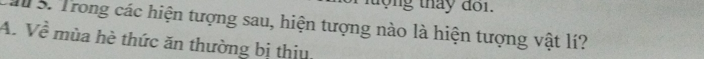 tong tháy doi.
au 5. Trong các hiện tượng sau, hiện tượng nào là hiện tượng vật lí?
A. Về mùa hè thức ăn thường bị thịu.