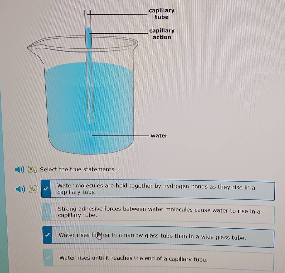 Select the true statements.
Water molecules are held together by hydrogen bonds as they rise in a
capillary tube.
Strong adhesive forces between water molecules cause water to rise in a
capillary tube.
Water rises fal her in a narrow glass tube than in a wide glass tube.
Water rises until it reaches the end of a capillary tube.