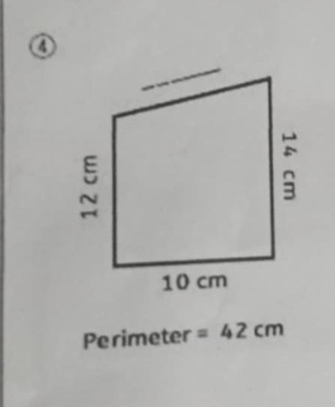 ④ 
Perimeter =42cm