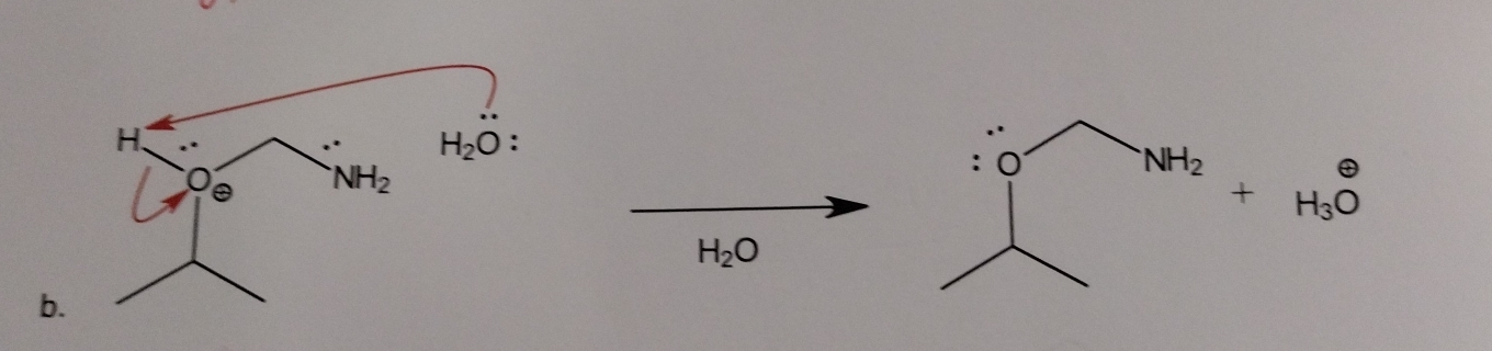 NH_2 +beginarrayr θ  H_3Oendarray
H_2O
b.