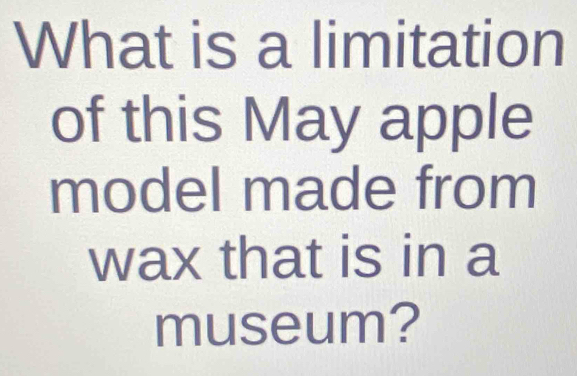 What is a limitation 
of this May apple 
model made from 
wax that is in a 
museum?